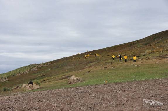 Caminhada rumo à colônia de albatrozes em Steeple Jason, no noroeste das Ilhas Malvinas